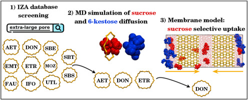 TOC graphic for Separation of an aqueous mixture of 6-kestose/sucrose with zeolites: A molecular dynamics simulation